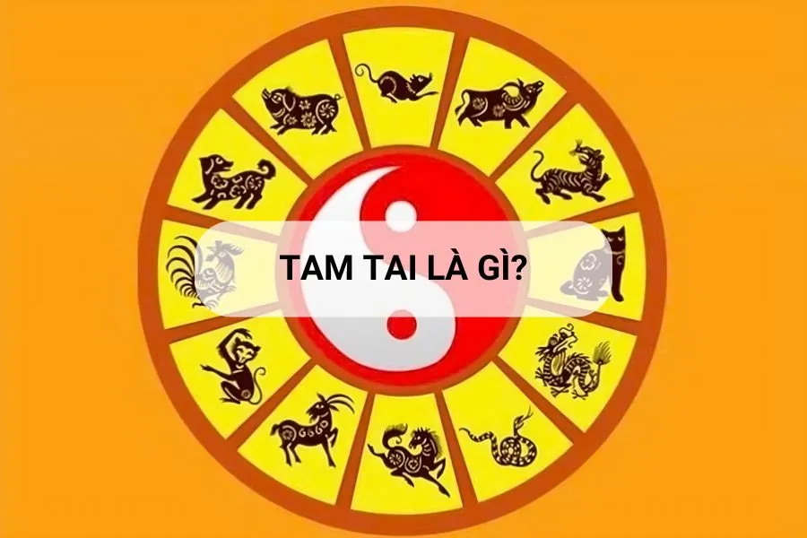 Hạn Tam Tai là gì? Các tuổi phạm Tam Tai năm 2025